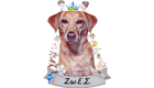 zoesLOGO24